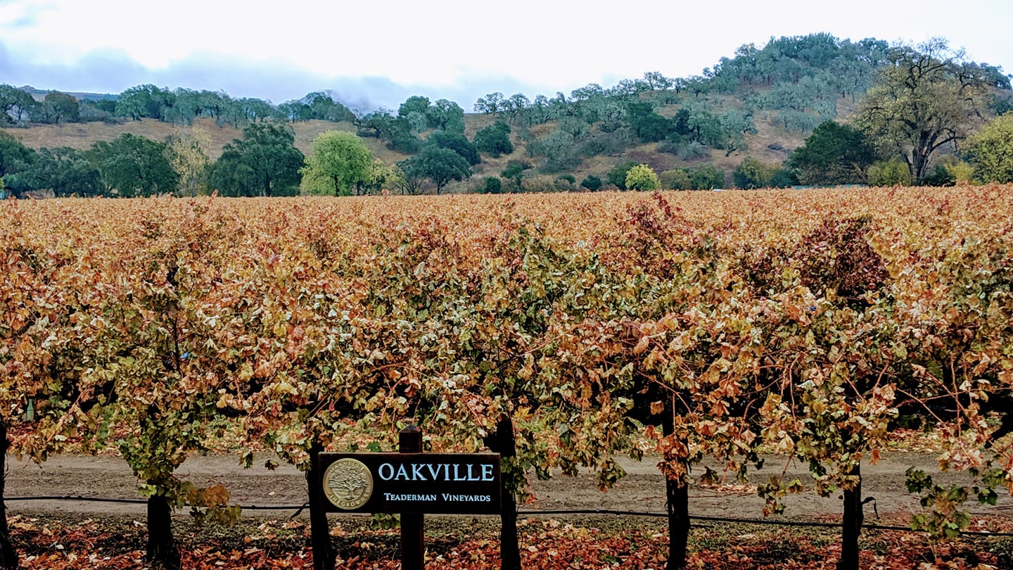 Teaderman Vineyards | Napa Valley Teaderman Vineyards | Napa Valley
